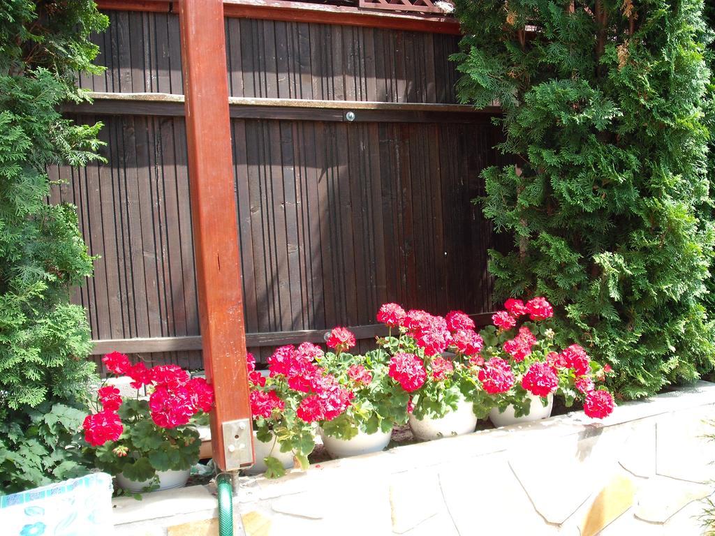 Apart Hevizi Haz Bagian luar foto